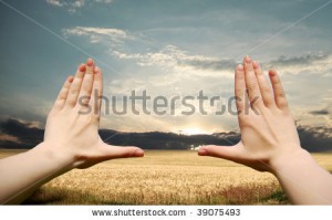stock-photo-frame-made-of-hands-at-wheat-field-at-sunset-39075493