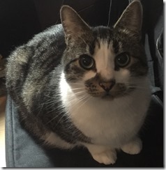 oscar_cropped